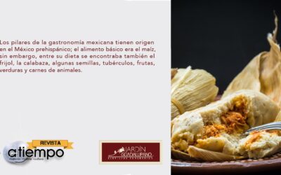 Gastronomía mexicana, tradición culinaria